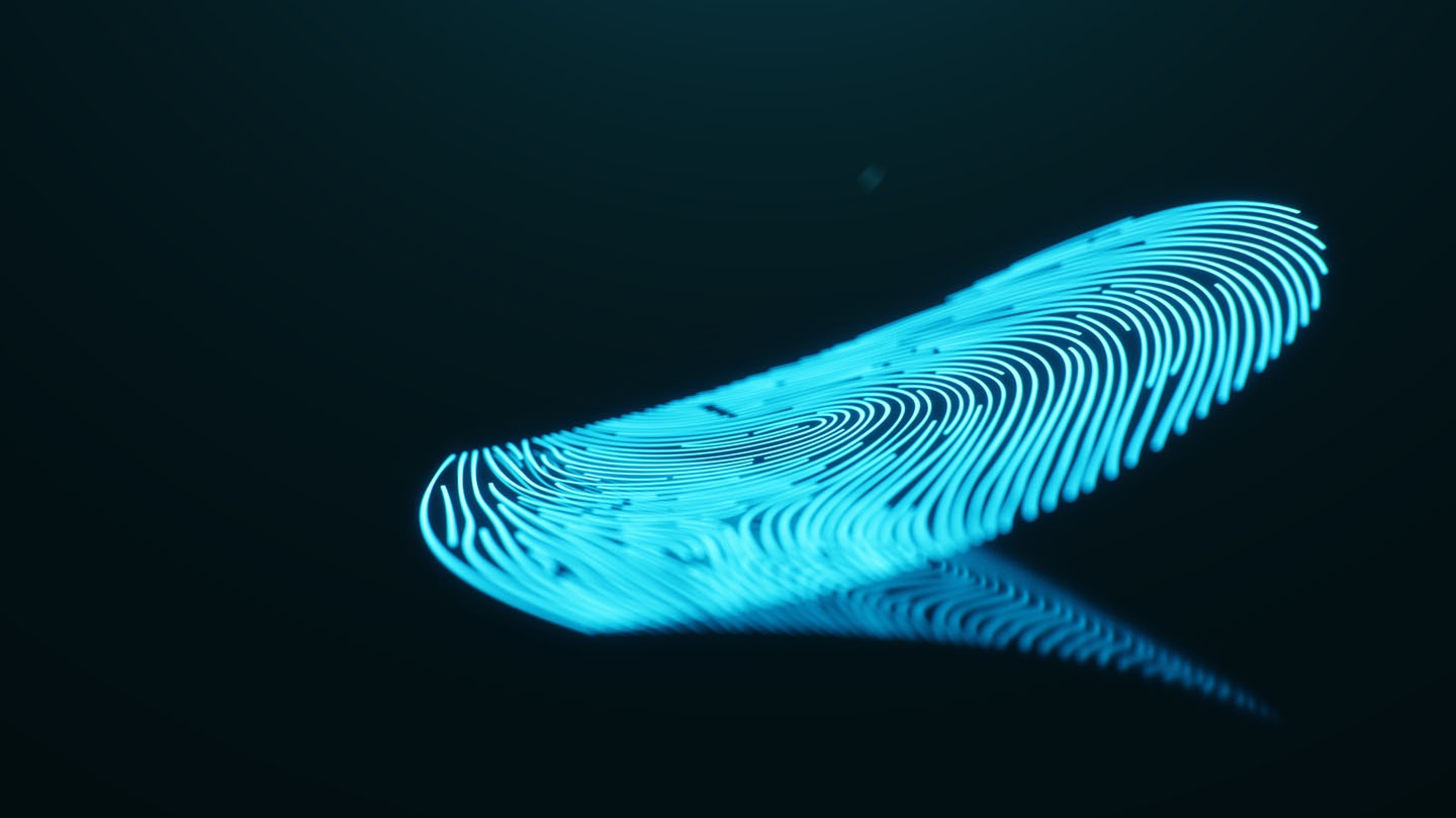 Insights 6 Size matters why increased security starts with larger